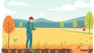 Field Service Management with Asset ClassBased Workflows - Field Service Management